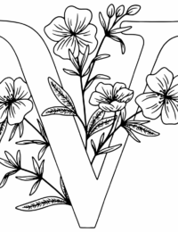 Nach der Vitalfeldregulation – Info – Was erwartet mich?